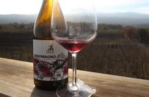 Etna Wine and Alcantara with lunch