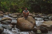 Half-Day El Yunque National Forest Tour from San Juan