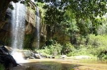 Full Day Private Tour to Shimba Hills from Diani Beach