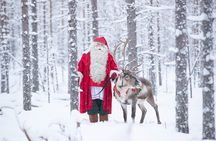 Daytour to Santa Claus Village, Reindeer and Husky Safaris, Photo, and Lunch
