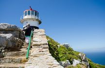 Half day am or pm Boulders Beach & Penguins with visit to Cape Point Great tour
