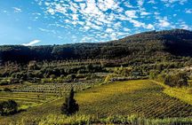 Sant'Agata de' Goti wine tasting and cooking class experience 