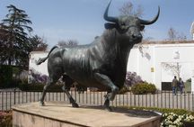 Visit Ronda and Setenil de las Bodegas in one day from Malaga