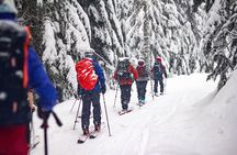 Whistler Intro to Backcountry Skiing and Splitboarding