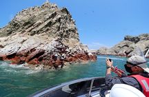 Morning: Ballestas Island tour from Paracas with entrances