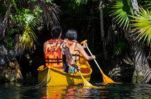 3 Cenotes Bike Adventure Private Tour from Tulum