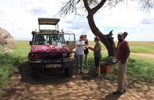 Private 5 Day Kenya Safari in Mara Lake Naivasha and Amboseli