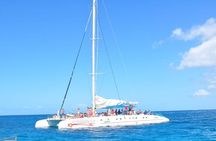 Full-Day Tour of Saona Island from Punta Cana