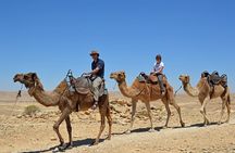 From Agadir or Port Trip to Small Sahara of Massa and Tiznit with Lunch