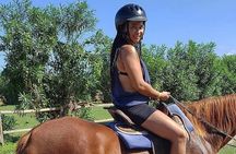 Horseback Riding, ATV and Ocean Zip lining combo from Montego Bay 