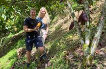 Chocolate tour near Medellin 