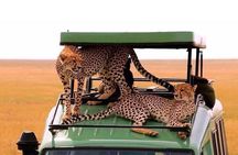 4 Days Tanzania Authentic Camping | Lodge Safari