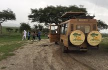4 Days Tanzania Authentic Camping | Lodge Safari