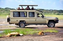 4 Days Tanzania Authentic Camping | Lodge Safari