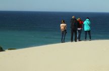 Hermanus Land based Whale Tour with Dave de Beer