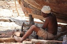 Zanzibar Full Day Mnemba Island, Nungwi and Kendwa Beach Tour