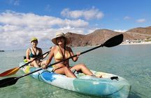 Balandra adventure: sea lions, kayak, and hike in paradise