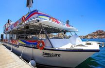 Amazing Cabo and Snorkel Adventure