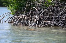 Saona, Mano Juan, Canto de la playa away from the tourist crowds
