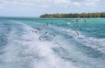 Saona, Mano Juan, Canto de la playa away from the tourist crowds