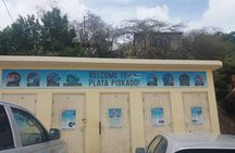 Western snorkel & swim Trip 