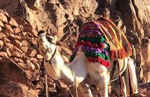 2-Day St Catherine and Moses Mountain Tour from Cairo