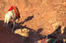 2-Day St Catherine and Moses Mountain Tour from Cairo