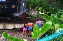 Barbados through the eyes of a local