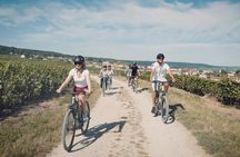Reims: Half-day cycling in Champagne with tastings