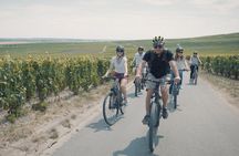 Reims: Half-day cycling in Champagne with tastings