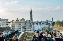 Brussels Politics Tour with a Local Expert: Custom & Private 