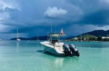 Private 6-Hour Island Hopping in US Virgin Islands - 500hp Hydro Sport