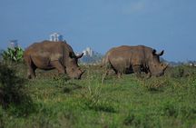 Private Mini Safari Tour in Nairobi