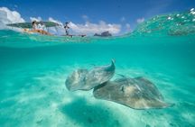Combo snorkeling + motu lunch + jet ski group tour full day 
