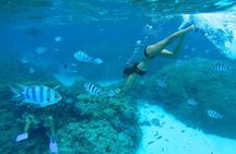 Combo snorkeling + motu lunch + jet ski group tour full day 