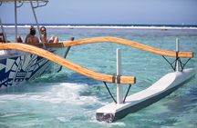 Combo snorkeling + motu lunch + jet ski group tour full day 
