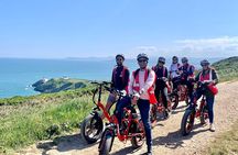 Dublin Panoramic e-Bike Tour with Howth Adventures