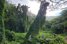 Electric Bike Ride & Hike Tour