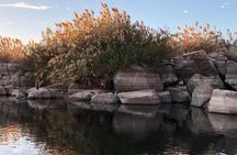 Best Half Day Private Tour of Aswan 