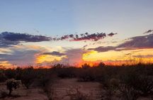 When Nature Calls - Exploring the Sonoran Desert