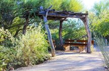 When Nature Calls - Exploring the Sonoran Desert