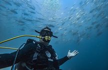 Scuba Diving