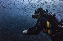 Scuba Diving