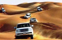Desert Safari Adventure in Dubai