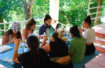 FULLDAY ADVENTURES TOUR: Buggies, Horseback Riding, Ziplining. City Tour...