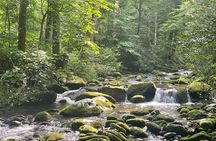 Smoky Mountains Roaring Fork Guided Sightseeing Tour by Jeep