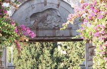Wine Tour in the historic Baglio Florio Adamo with Lunch