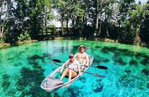 Clear Kayak Three Sisters Springs & Manatee Tour Of Crystal River