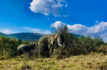 3days/2nights group joining Masai Mara with Masai Village Visit