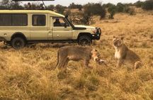 3days/2nights group joining Masai Mara with Masai Village Visit